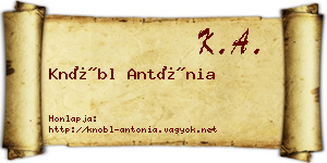 Knöbl Antónia névjegykártya