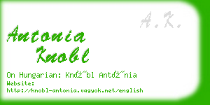 antonia knobl business card